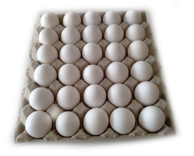 Huevos frescos, Huevos Alfa granel blanco