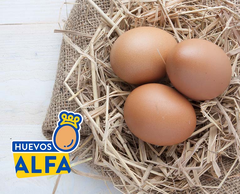 Huevos Alfa Productores